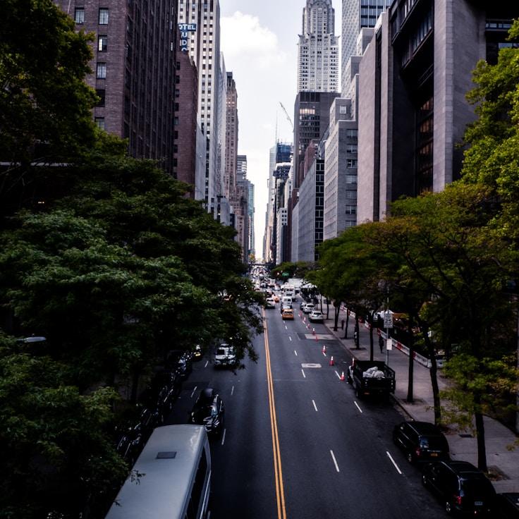 Family routine and school logistics in New York